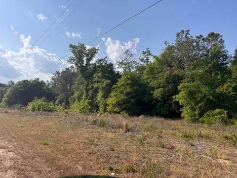 2716 W Highway 378 Hannah, Gresham, SC 29546 photo 3