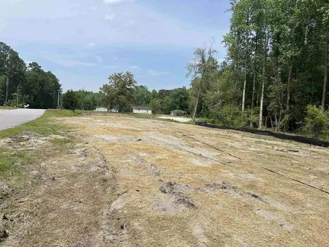 255 Ole Maple St, Loris, SC 29569 photo 23