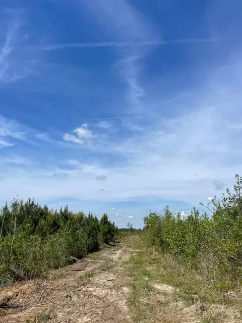 tbd 30 Ac Rocky Ford Rd, Salters, SC 29590