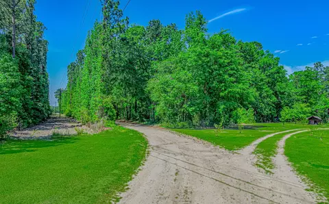 tbd Piney Grove Church Rd, Gresham, SC 29546 photo 7