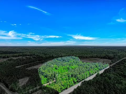 tbd Piney Grove Church Rd, Gresham, SC 29546 photo 2