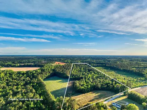 tbd Chair Rd, Hemingway, SC 29554