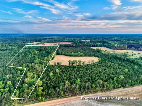 240 Guess Rd, Greeleyville, SC 29056