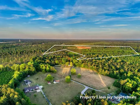 tbd Carroll Rd, Greeleyville, SC 29056