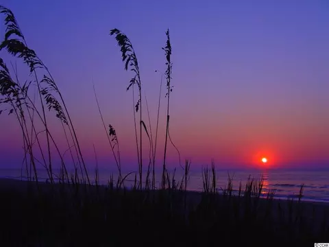 Other - 335 Kindred Spirit Dr, Longs, SC 29568 photo 11 of 12