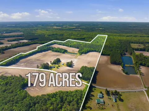9475 Lake Swamp Rd, Nichols, SC 29581