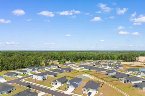 View/Area - 1209 Patchouli Dr, Longs, SC 29568 photo 1 of 9
