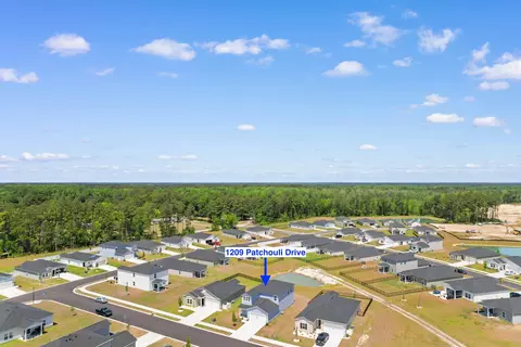 View/Area - 1209 Patchouli Dr, Longs, SC 29568 photo 2 of 9