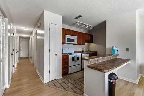 Entry Way - 202 Double Eagle Dr #F-1, Surfside Beach, SC 29575 photo 3 of 3