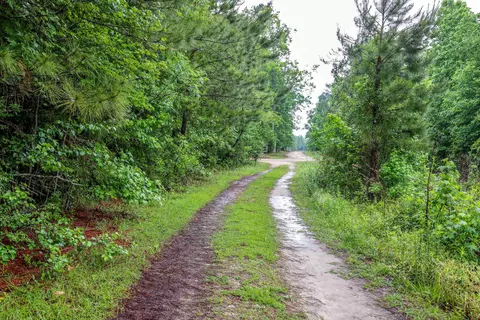 581 Roberts Rd, Aynor, SC 29511 photo 6