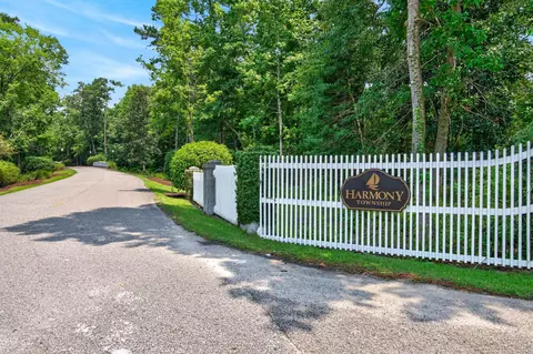 View/Area - 55 Pineberry Dr, Georgetown, SC 29440 photo 3 of 11