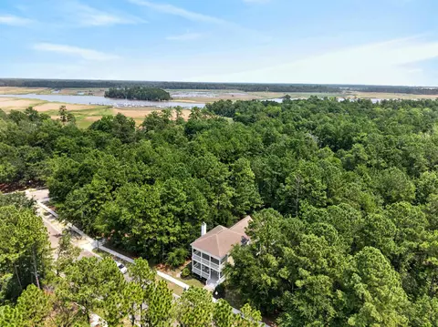 View/Area - 55 Pineberry Dr, Georgetown, SC 29440 photo 1 of 11