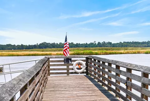 View/Area - 55 Pineberry Dr, Georgetown, SC 29440 photo 7 of 11