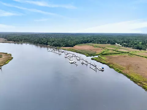 View/Area - 55 Pineberry Dr, Georgetown, SC 29440 photo 9 of 11