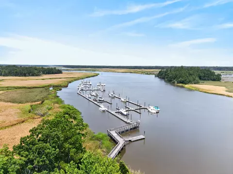View/Area - 55 Pineberry Dr, Georgetown, SC 29440 photo 8 of 11
