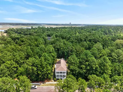 View/Area - 55 Pineberry Dr, Georgetown, SC 29440 photo 2 of 11