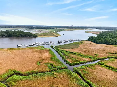 View/Area - 55 Pineberry Dr, Georgetown, SC 29440 photo 11 of 11
