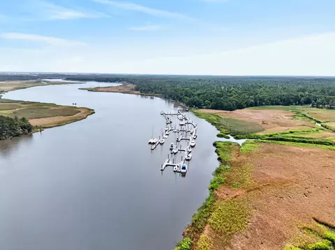 View/Area - 55 Pineberry Dr, Georgetown, SC 29440 photo 10 of 11