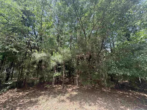lot1 Brantly Rd, Andrews, SC 29510