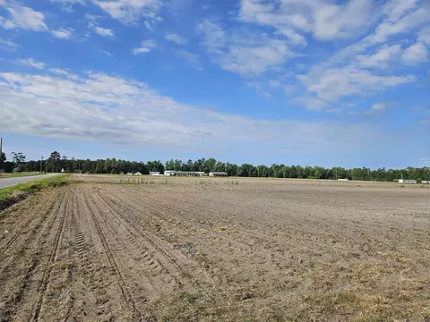 74 03ac Highway 917, Nichols, SC 29581