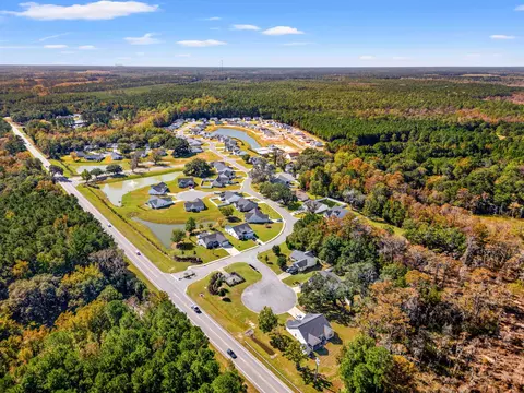 184 Peru Farm Dr, Georgetown, SC 29440 photo 4