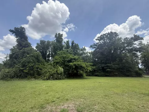 26 W Gapway Rd, Andrews, SC 29510