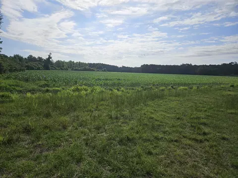 54 71ac Willoughby Rd, Nichols, SC 29581