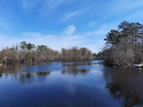 View/Area - 167 Palm Terrace Loop, Conway, SC 29526 photo 2 of 2