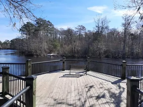 View/Area - 167 Palm Terrace Loop, Conway, SC 29526 photo 1 of 2