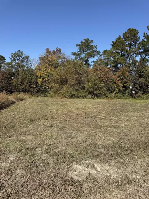 112 Quigley Pl, Aynor, SC 29511