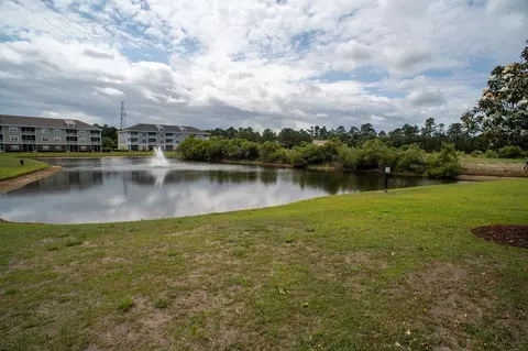 View/Area - 300 Kiskadee Loop #B, Conway, SC 29526 photo 2 of 3