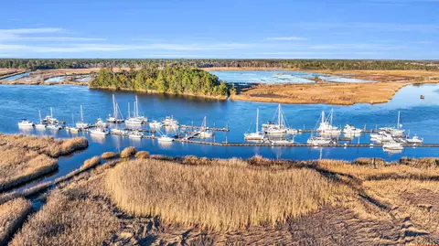 View/Area - tbd Warham Dr, Georgetown, SC 29440 photo 2 of 9