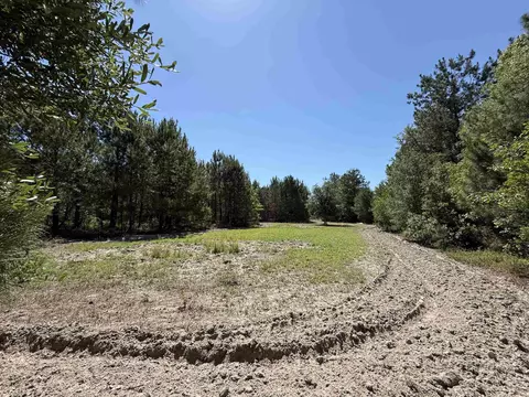 43 Acres-5432 Juneburn Rd, Manning, SC 29102