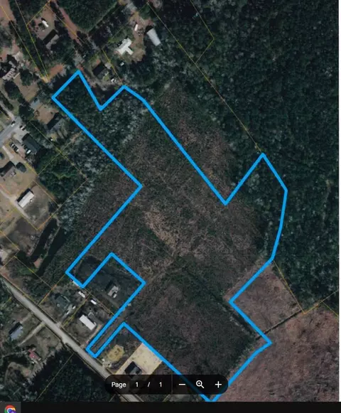 16 94 Acres Highway 905, Conway, SC 29526