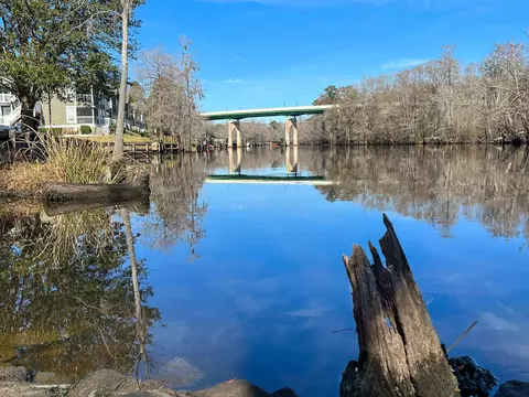View/Area - 249 Maple Oak Dr, Conway, SC 29526 photo 7 of 7