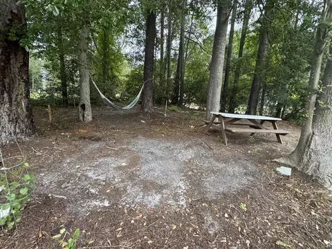 1194 Rainbow Dr, Loris, SC 29569 photo 12