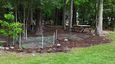 1194 Rainbow Dr, Loris, SC 29569 photo 7