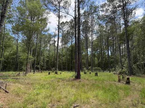 17 8acres-5871 Pennyroyal Rd, Georgetown, SC 29440