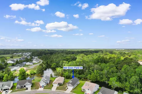 View/Area - 503 Grain Field Dr, Georgetown, SC 29440 photo 4 of 8
