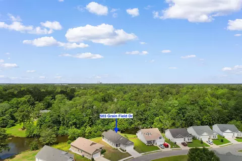 View/Area - 503 Grain Field Dr, Georgetown, SC 29440 photo 2 of 8