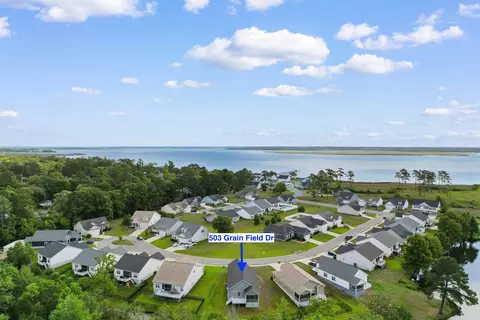 View/Area - 503 Grain Field Dr, Georgetown, SC 29440 photo 5 of 8