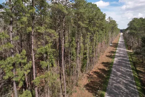 Tractb-tbd Pennyroyal Rd., Georgetown, SC 29440