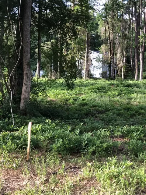 tbd Horseshoe Cir, Conway, SC 29527