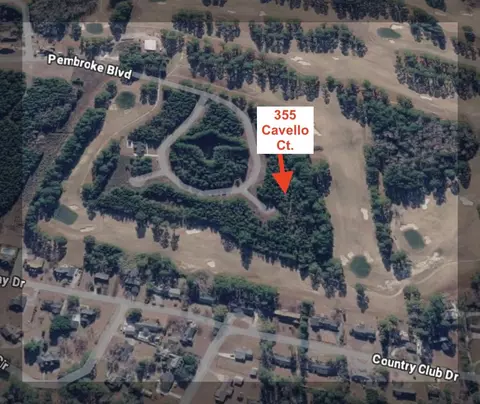 355 Cavello Ct, Johnsonville, SC 29555