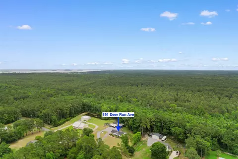 View/Area - 191 Deer Run Ave, Georgetown, SC 29440 photo 4 of 17