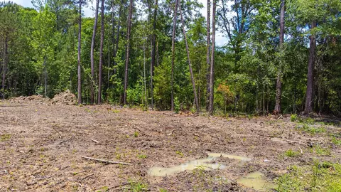 97 Hardee St, Andrews, SC 29510
