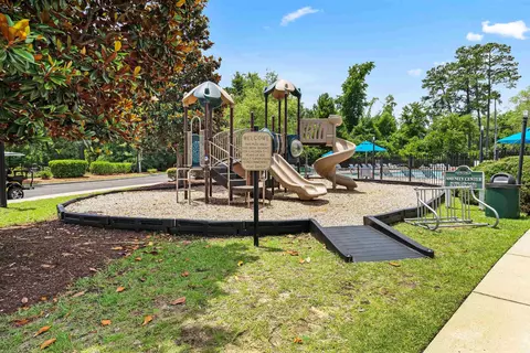 View/Area - 163 Long Leaf Pine Dr, Conway, SC 29526 photo 1 of 5