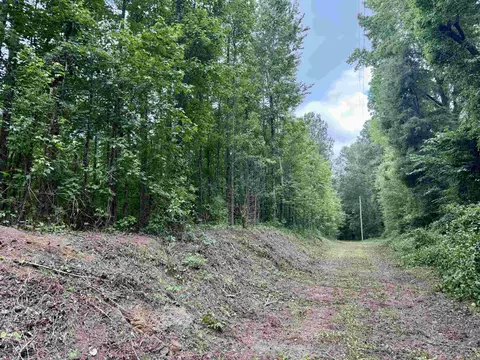 18 Acres-tbd Driffin Ln, Salters, SC 29590