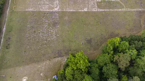 tbd Gurley Rd, Loris, SC 29569 photo 14