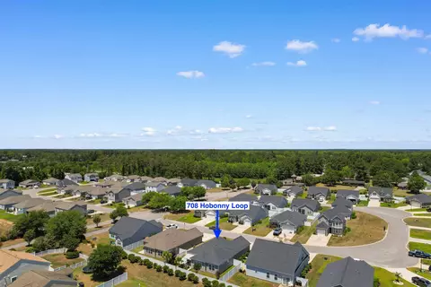 View/Area - 708 Hobonny Loop, Longs, SC 29568 photo 3 of 4